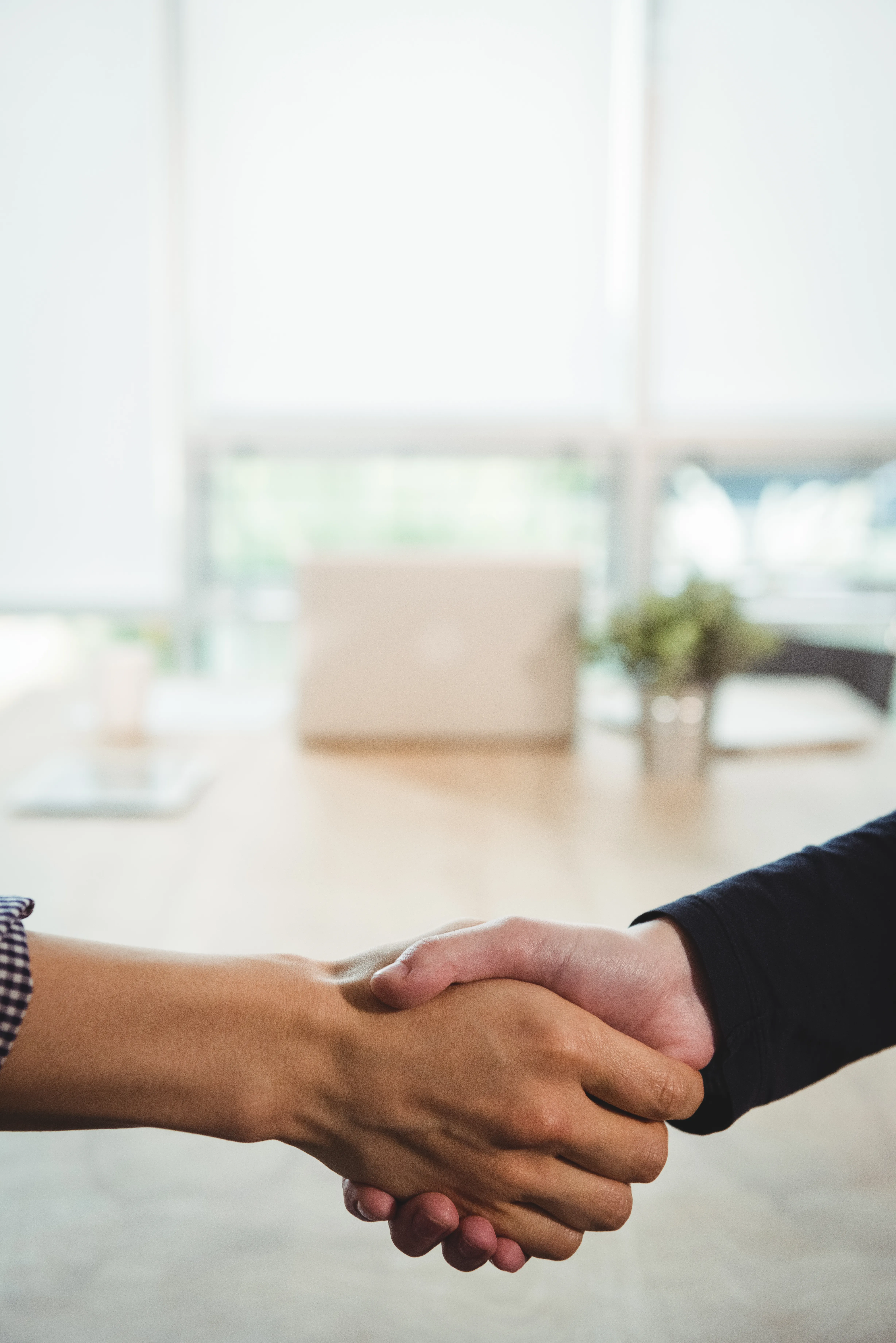 Two professionals establishing a business partnership